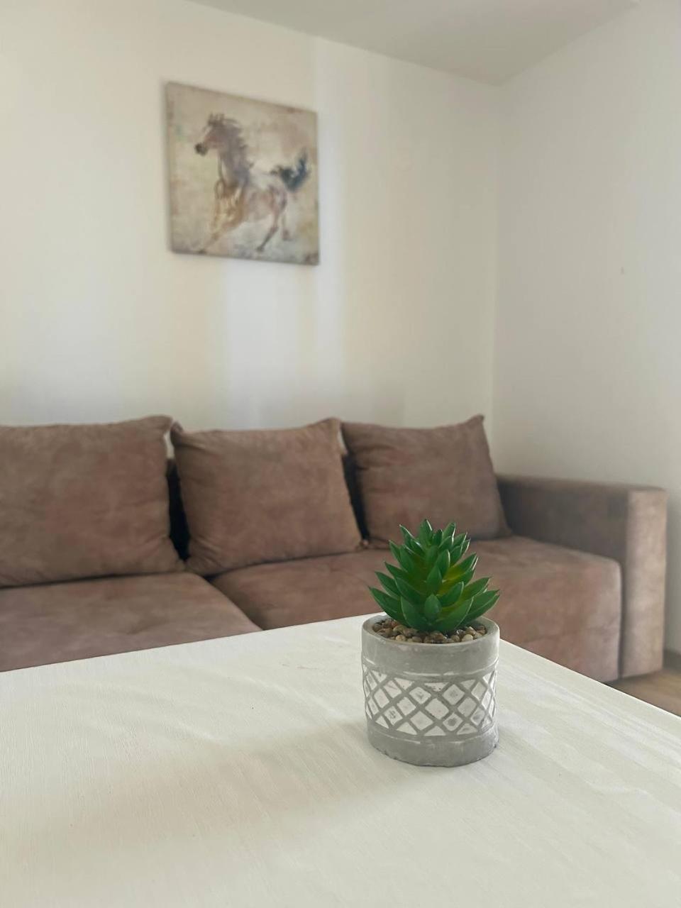 Apartmani Stari Grad 수토모레 외부 사진