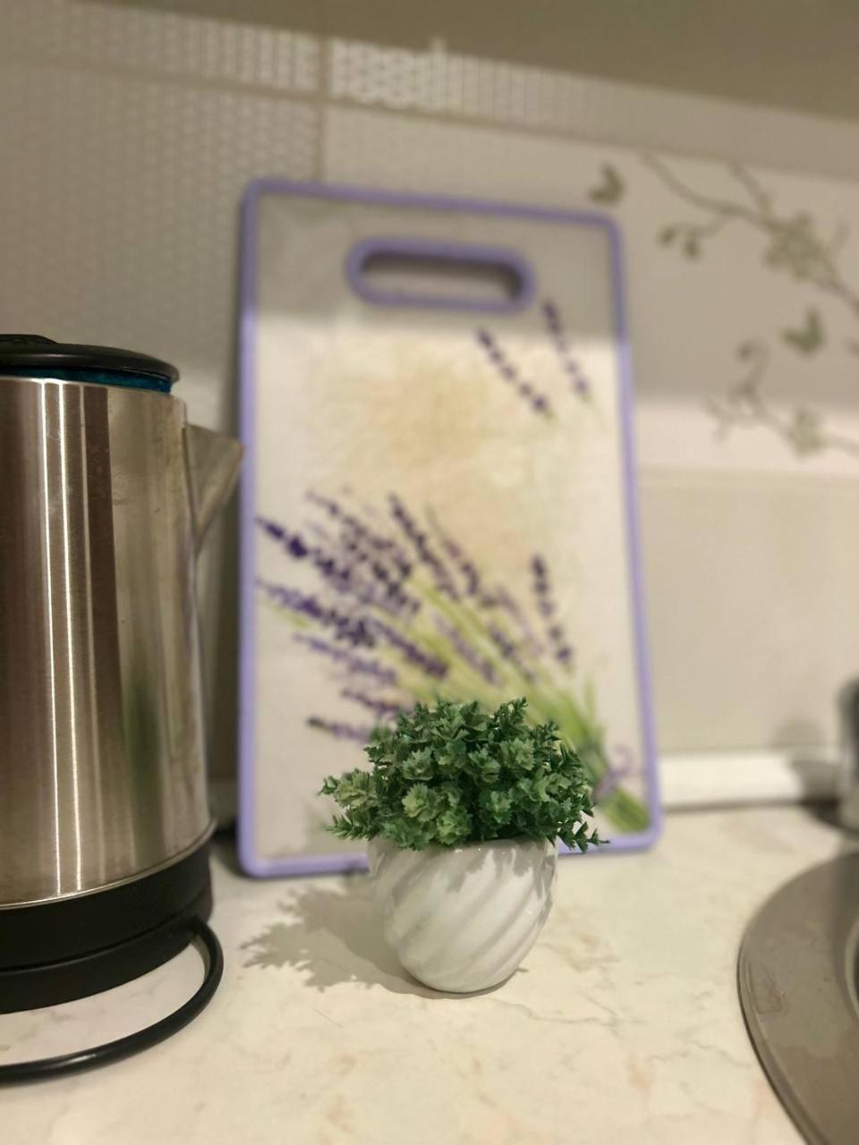 Apartmani Stari Grad 수토모레 외부 사진